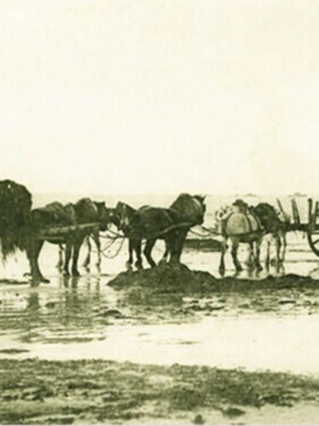 Patrimoine goémonier de la presqu'île