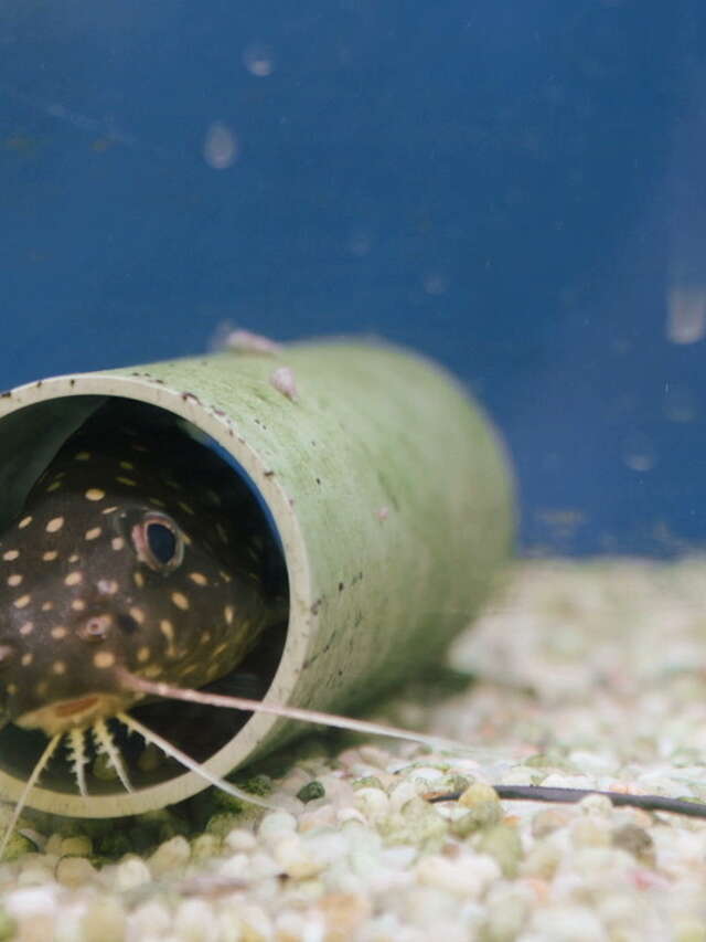 Vernissage et projections "Paysages du silence"