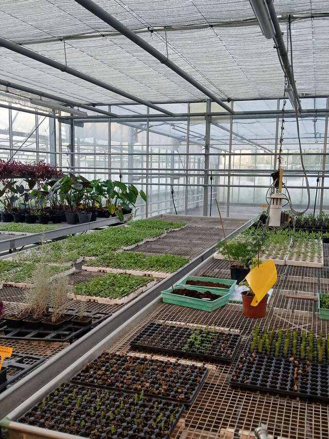 Visite guidée des serres municipales de la Ville de Lannion