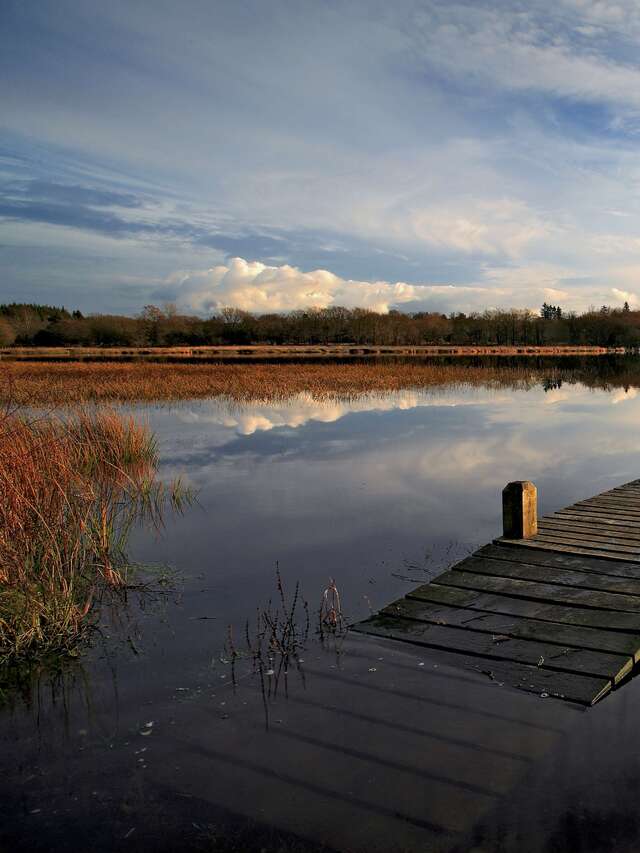 Journée mondiale des zones humides - Etrange rencontre au bord de l'eau