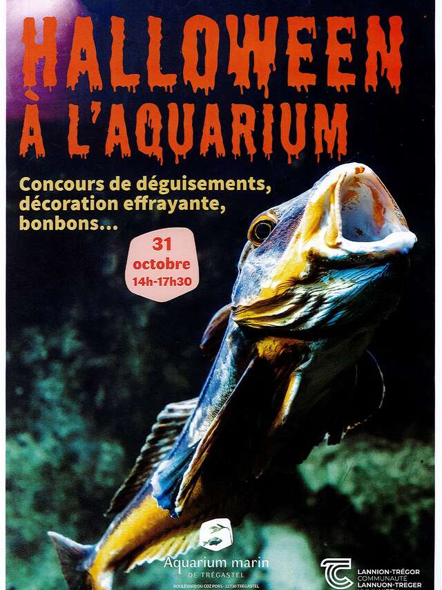 Halloween à l'Aquarium
