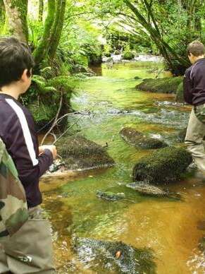 Initiation de pêche aux leurres et vie de la rivière