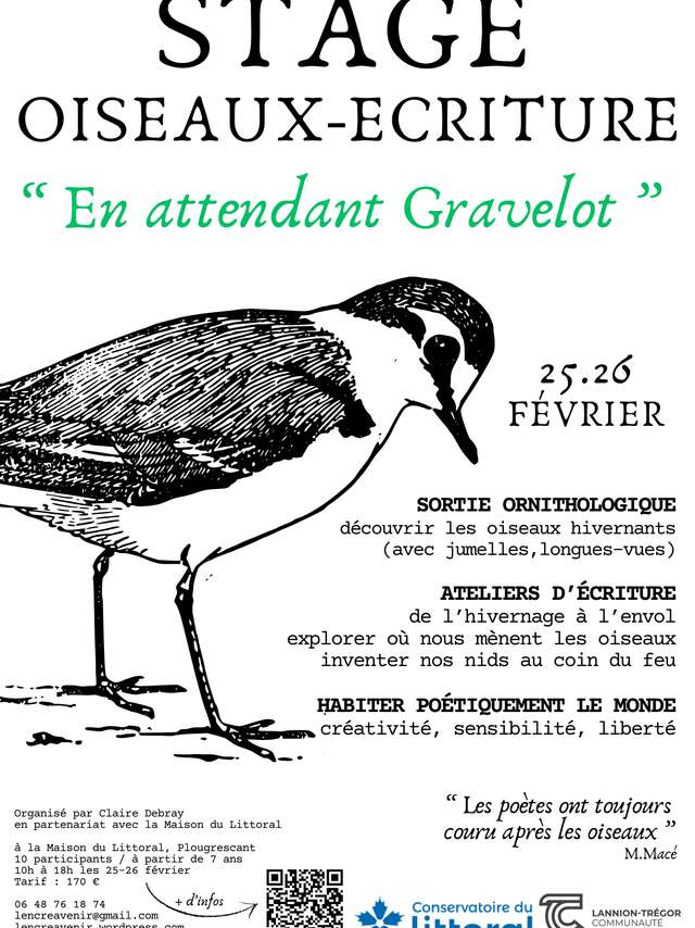 En attendant Gravelot - Stage Oiseaux-Ecriture