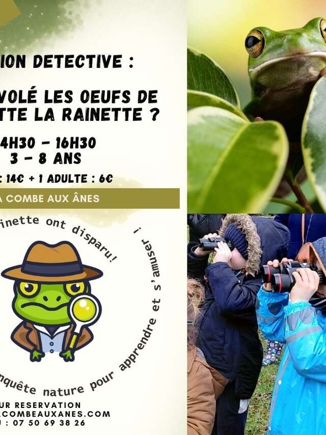 Qui a volé les œufs de Paulette la rainette ?