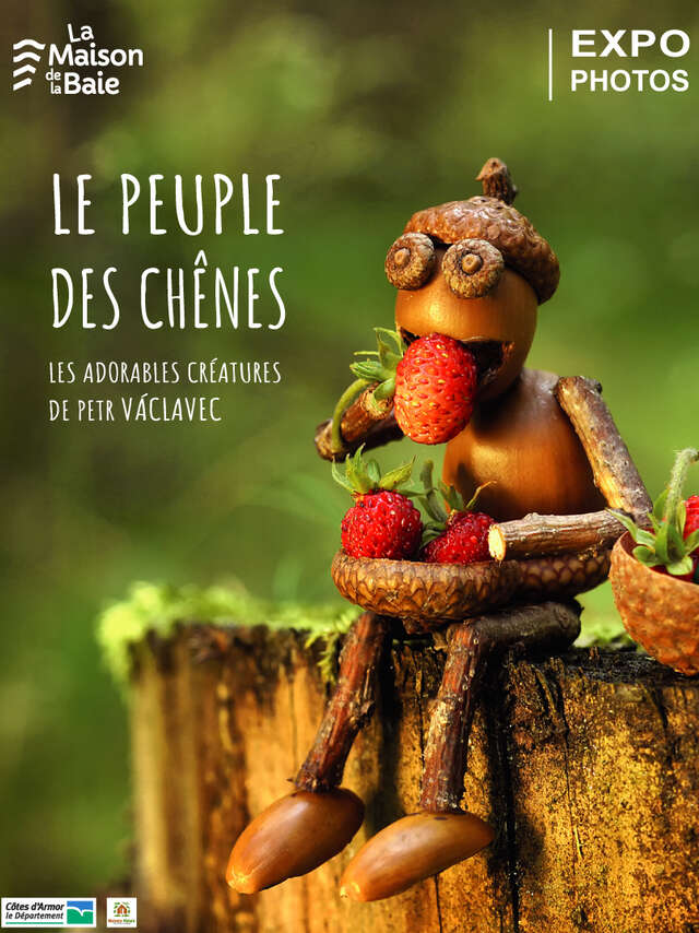 Le peuple des chênes, les adorables créatures de Petr Vaclavek - Créations artistiques - Léguer en fête