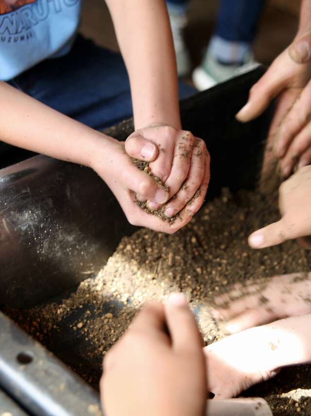 Sème des boules à graines - Atelier créatif enfant