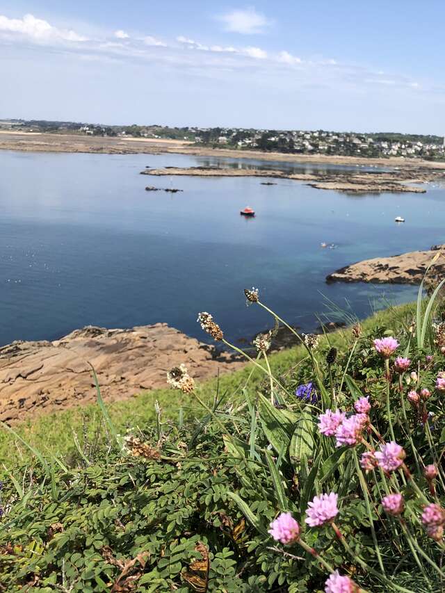 Ile Milliau - Découverte et pique-nique en anglais