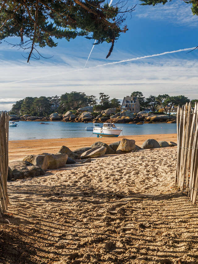 Ile Renote -  Histoires et paysages abracadabrants