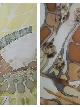 Karine Le Meur - Peinture