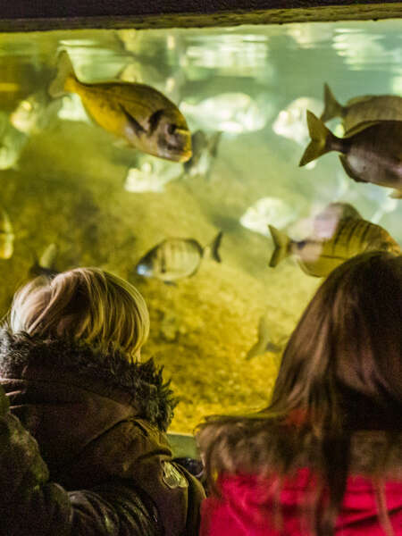 Aquarium Marin de Trégastel