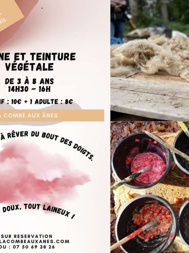 Laine et teinture végétale