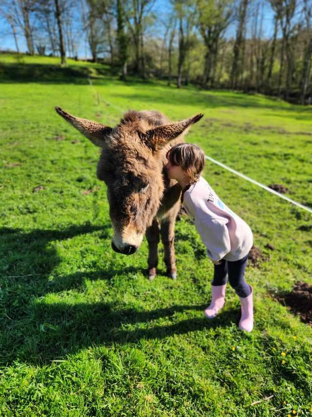 Aventure à la ferme : 3 à 8 ans