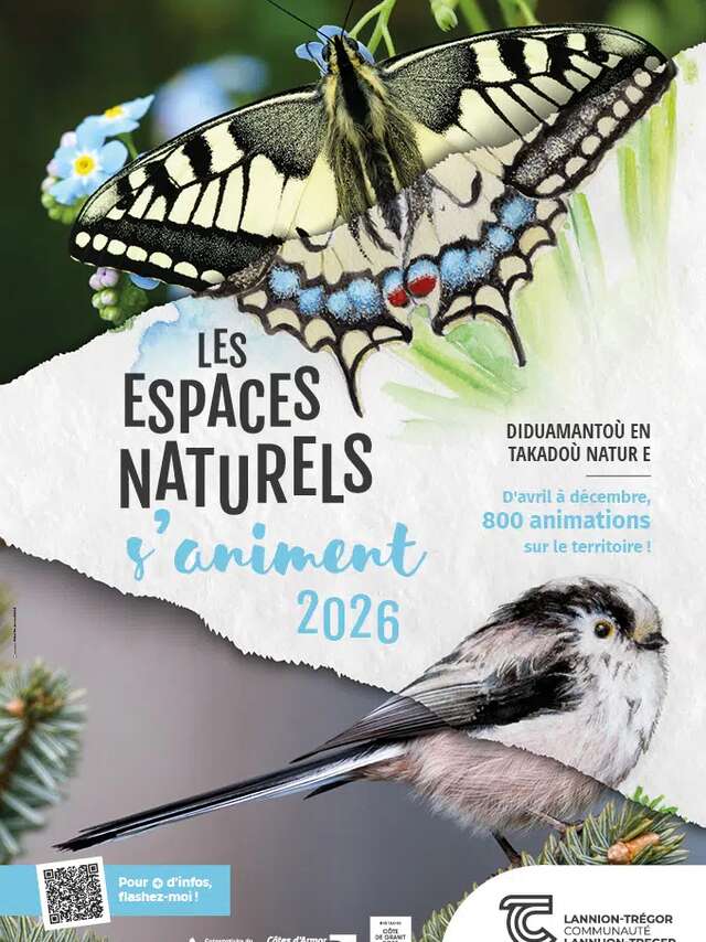 La vie des coquillages