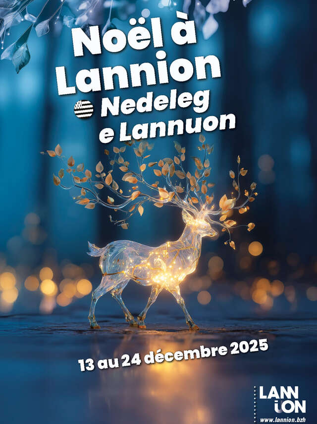 Noël à Lannion - Contes, concerts, spectacles