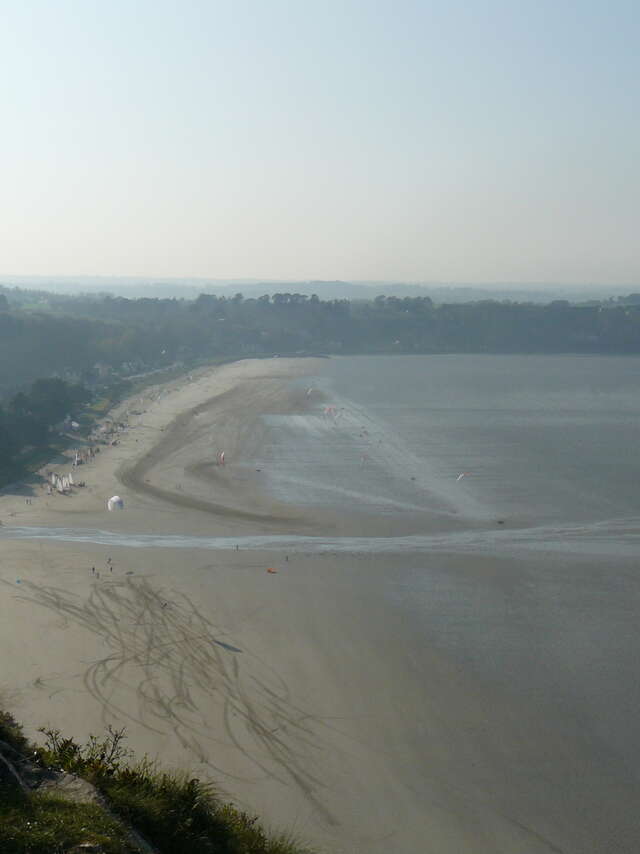 Journée mondiale des zones humides - Les oiseaux hivernants de la Lieue de Grève