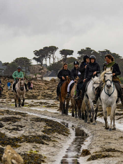 Pardon aux chevaux de Saint Gildas