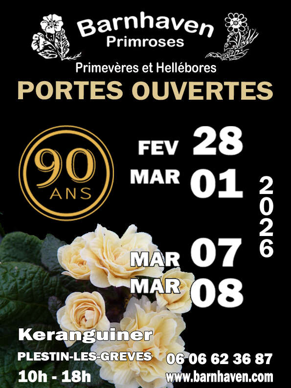 Portes-ouvertes à la pépinière Barnhaven Primroses 2026