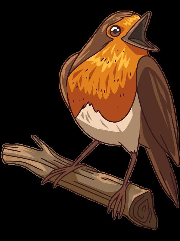 Balade sonore à l’écoute des oiseaux