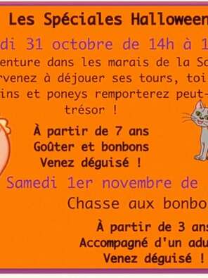Halloween avec Animalie