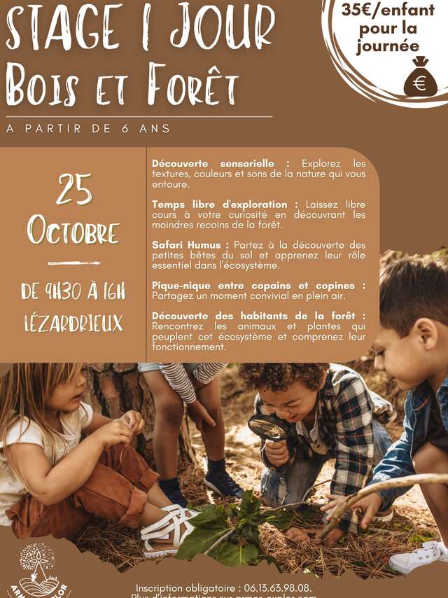 Stage 1 journée : explorateurs de la forêt