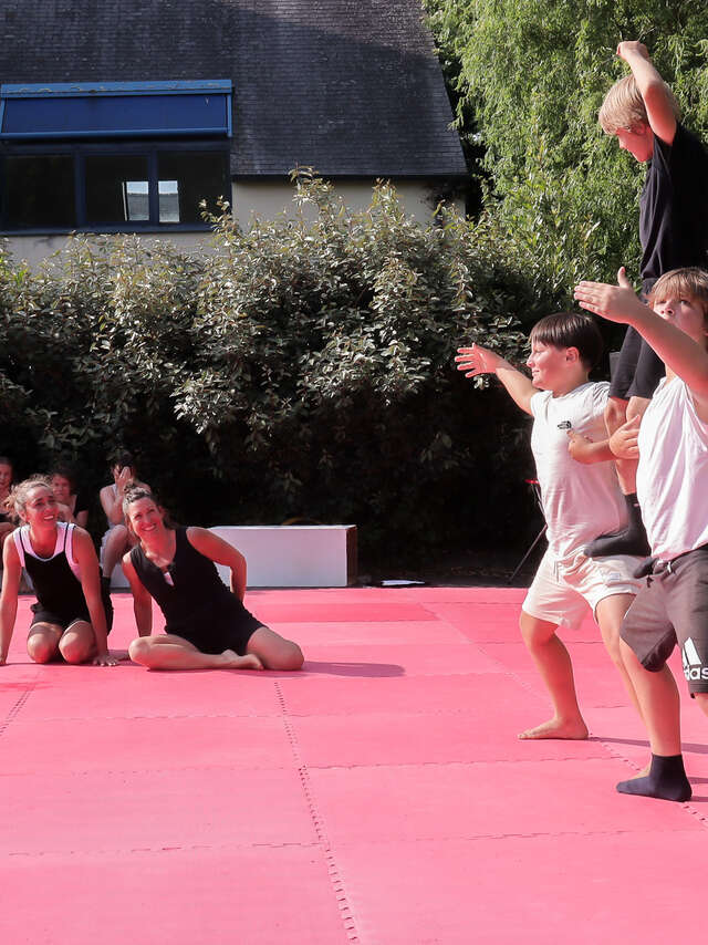 Stage de cirque