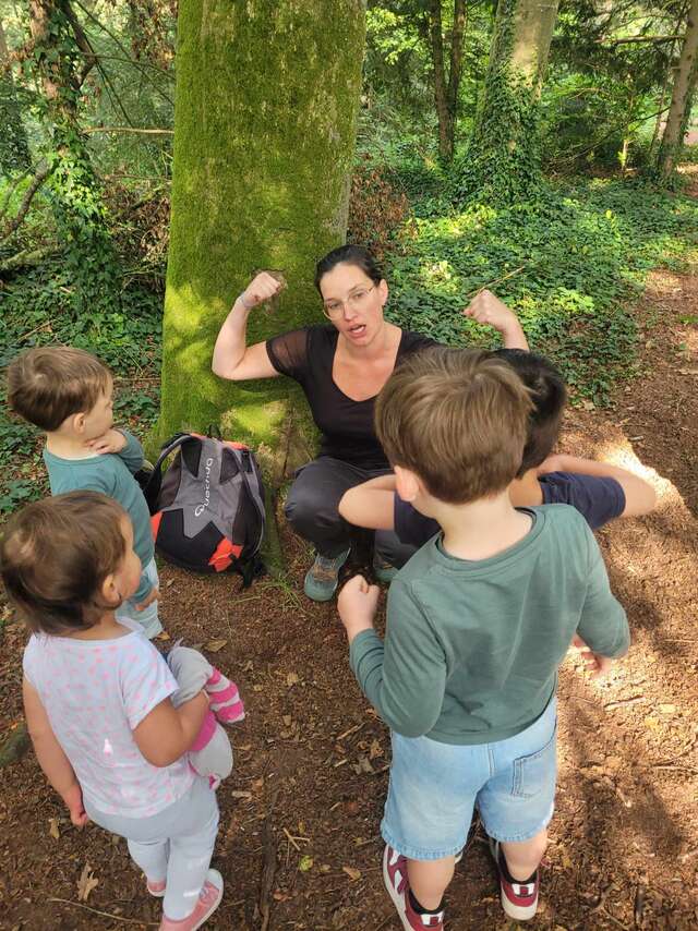 Promenons nous dans les bois !