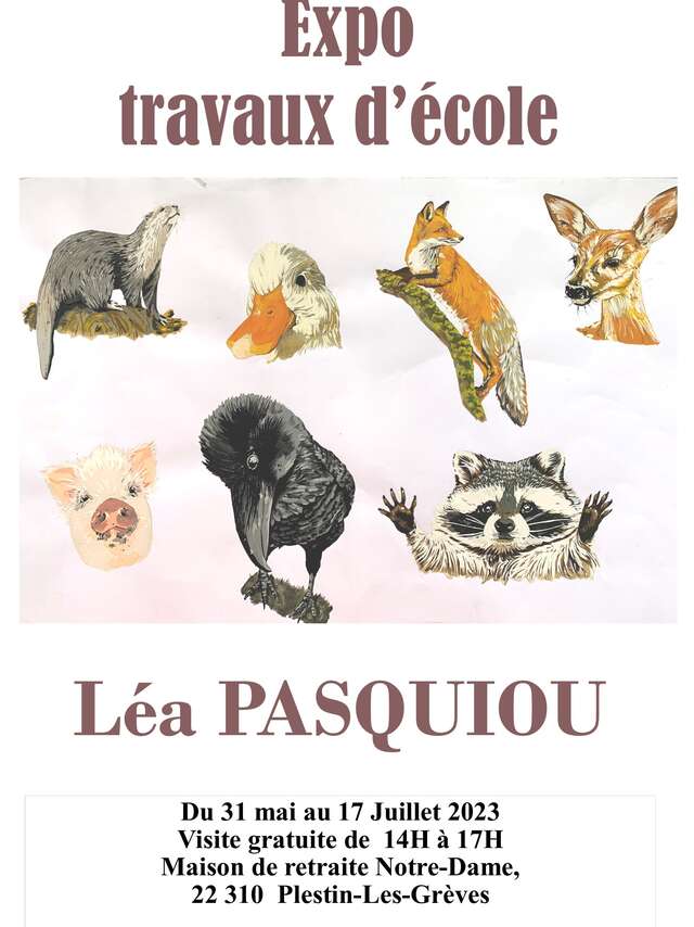 Illustrations