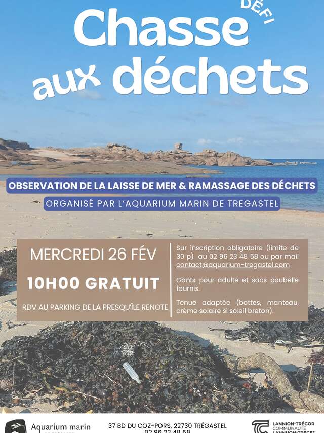 Sortie : Chasse aux déchêts et découverte de la laisse de mer