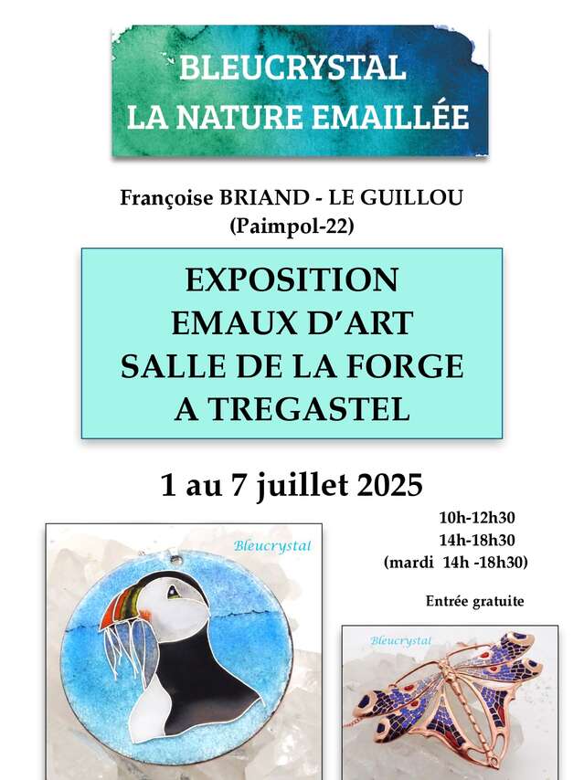 Emaux d'Art - La Nature émaillée
