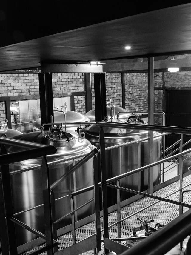 Découverte de la brasserie Philomenn