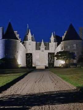 La nuit des Chauve-souris