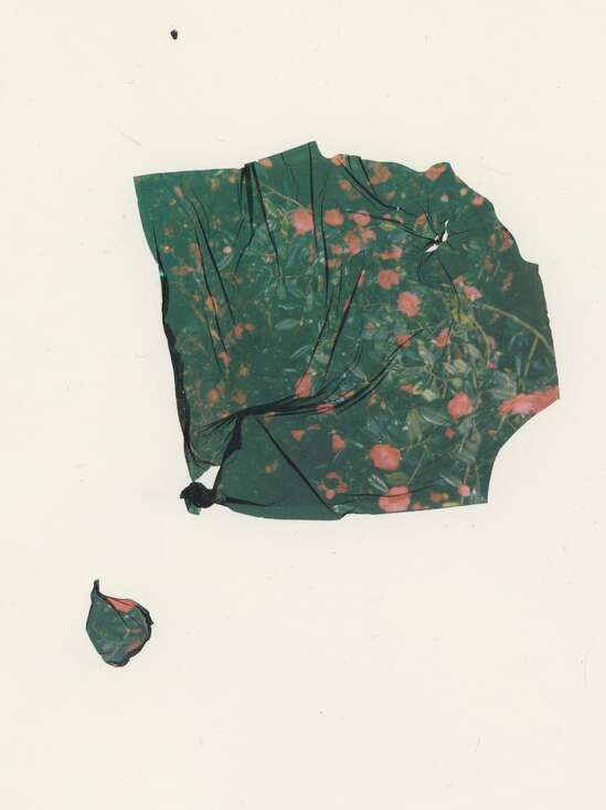 Photofolie - Coline Jourdan