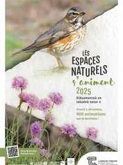 Les saisons : l'automne