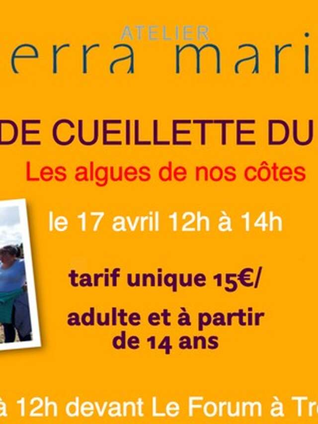 Balade cueillette du goût - Les algues de nos côtes