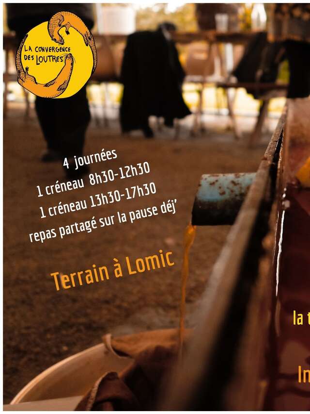 Fête de la pomme - Dans l'jus !