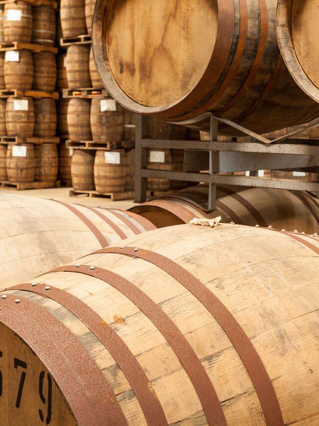 Visite Immersion de la distillerie Warenghem | Whisky Armorik
