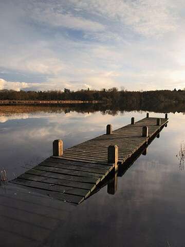 Etang, libellules et belles couleurs