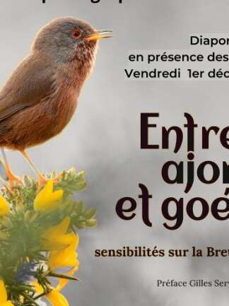 Exposition des photographes animaliers bretons