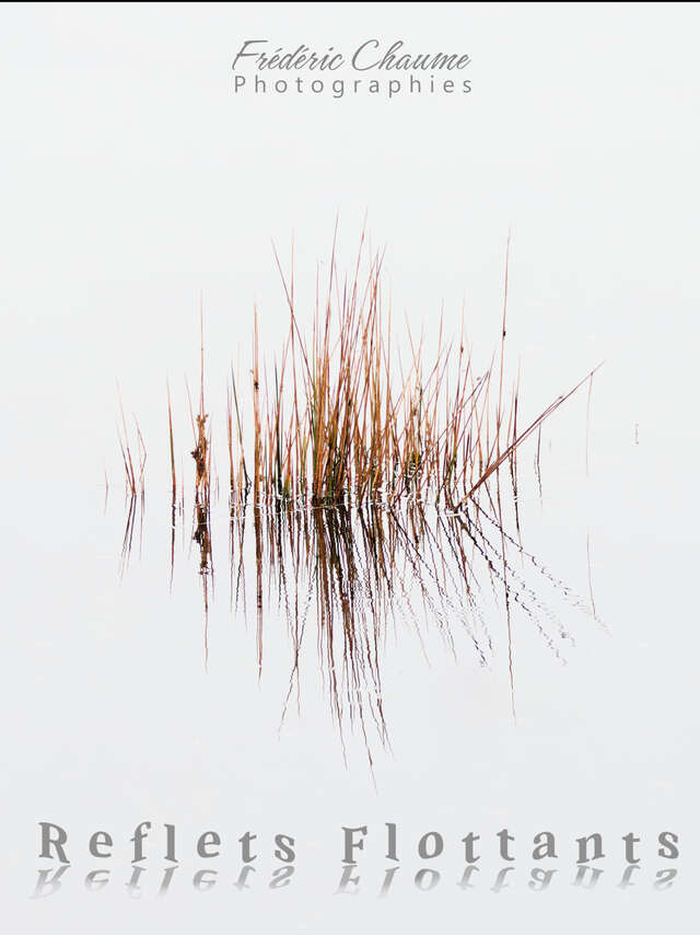 Reflets flottants - Photographies - Léguer en fête