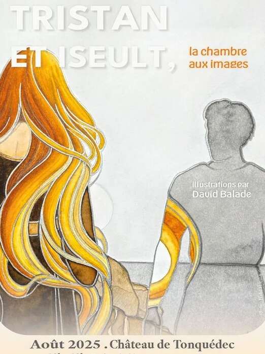Tristan et Iseult, la chambre aux images