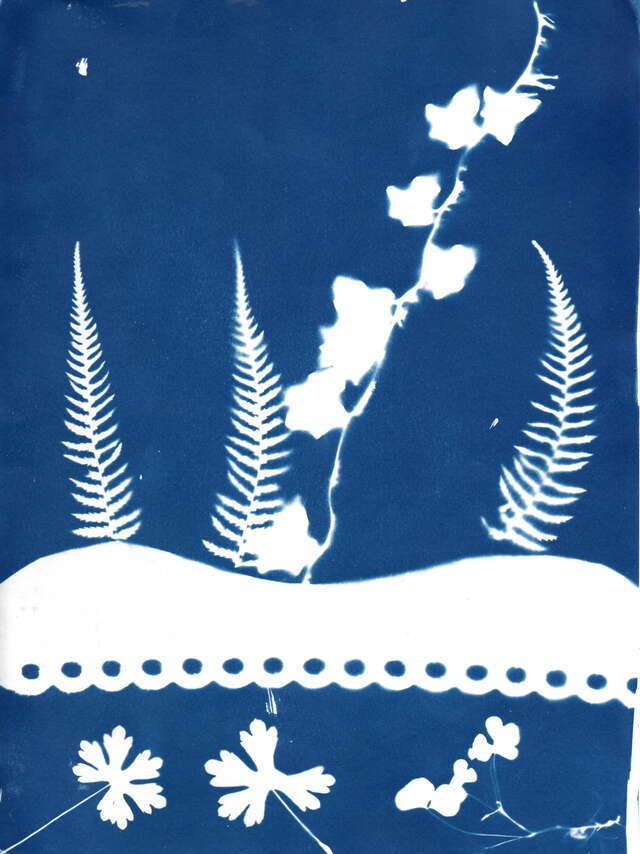 Graines de rivières sauvages - Cyanotypes et poésies - Léguer en fête