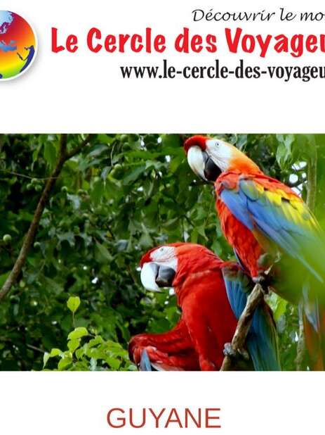 Guyane – Une pépite en Amazonie