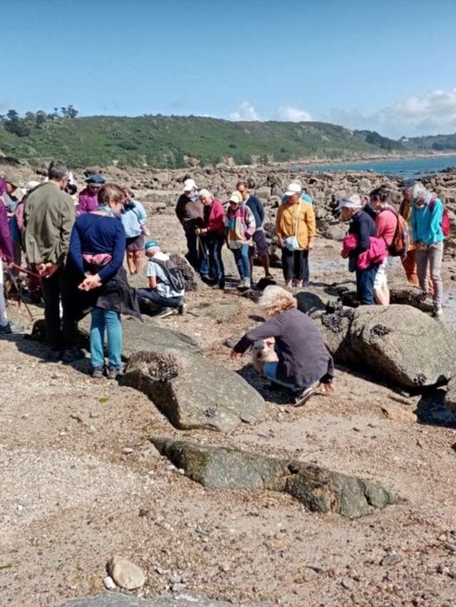 Les roches les plus anciennes de France