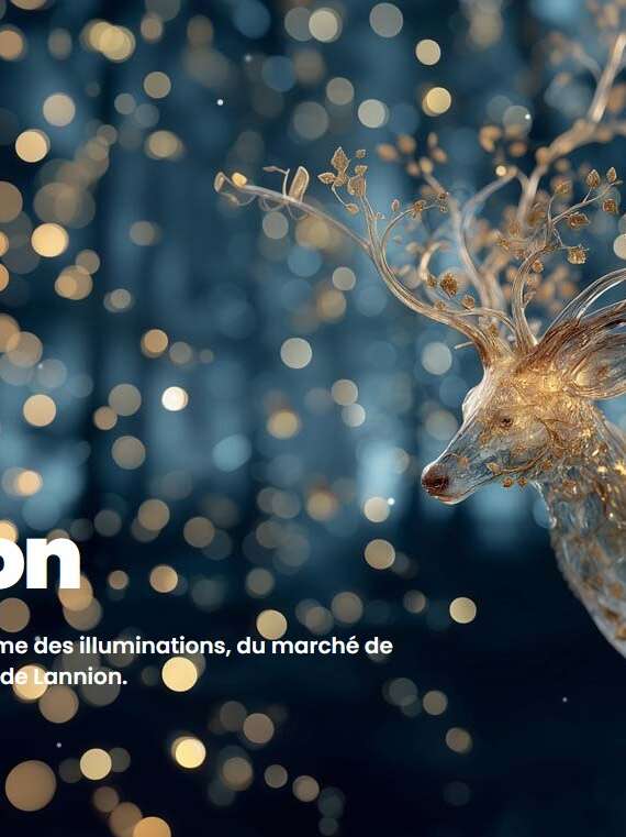 Noël à Lannion - La légende d'Odin et de l'arbre des merveilles de Lannion