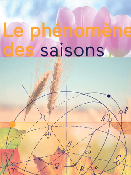 Le phénomène des saisons