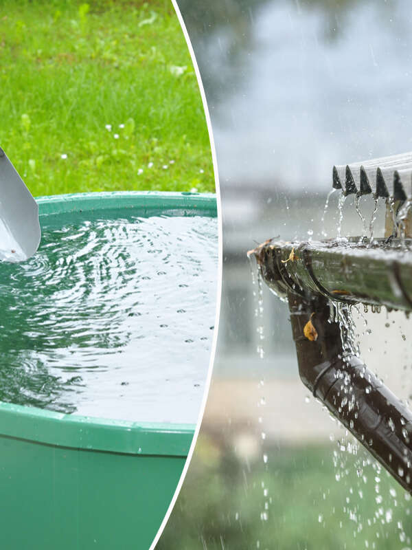 Stage récupération et utilisation de l’eau de pluie