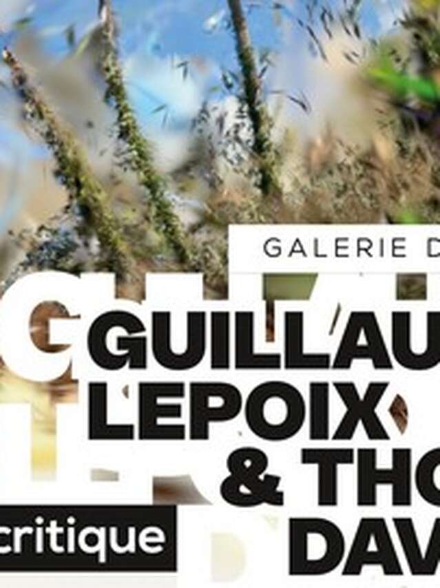 Seuil critique de Thomas Daveluy et Guillaume Lepoix