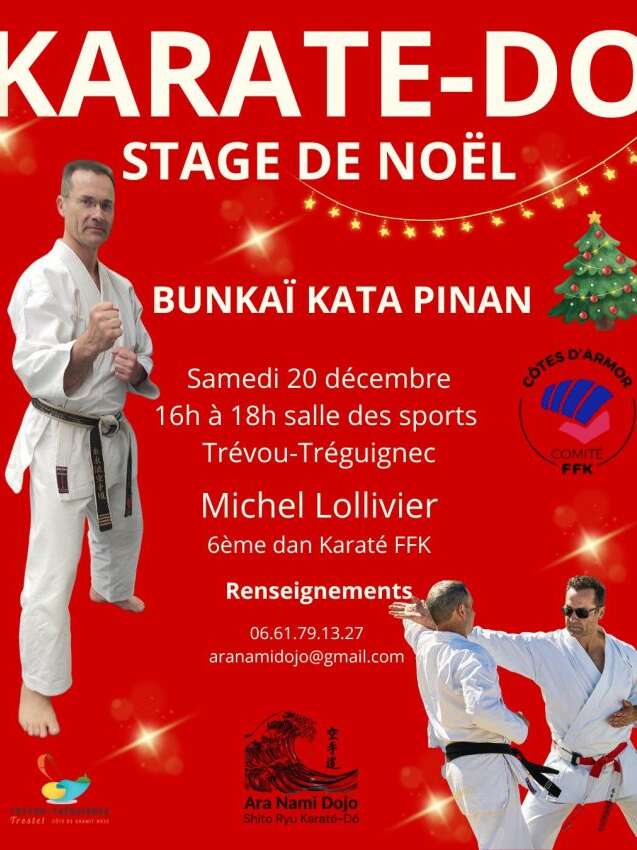 Stage de Noël de Karaté-Do