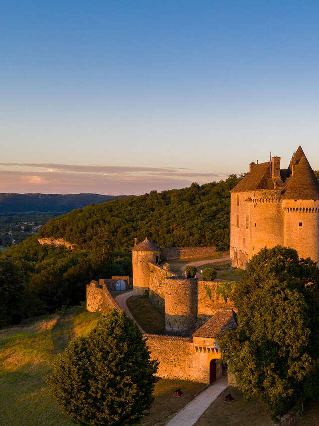 Château de Fénelon