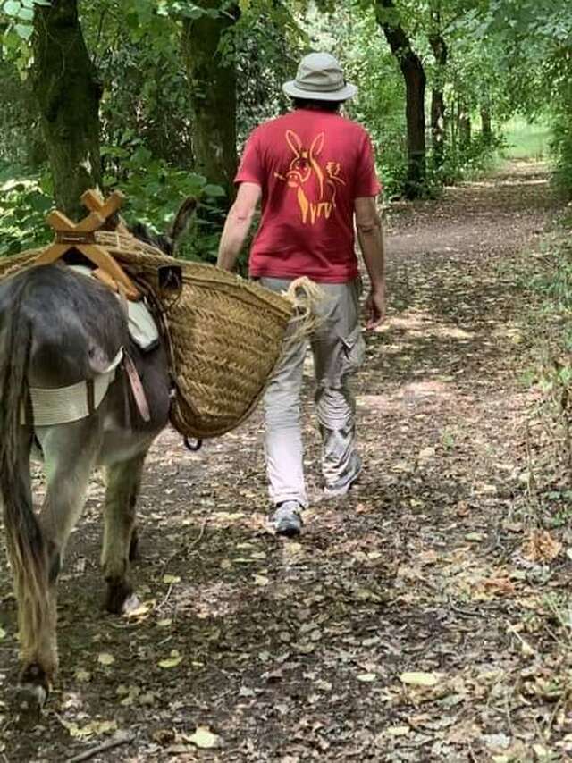 Balade découverte de l'âne